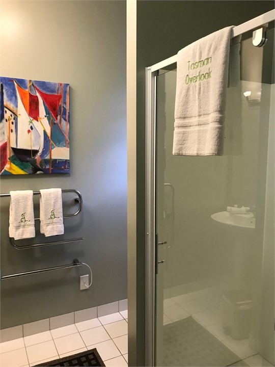 Bath Just Off Dressing Area in Apartment- Size BR