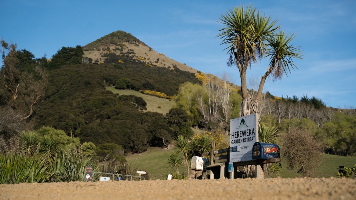 Road leading up to Hereweka Retreat
