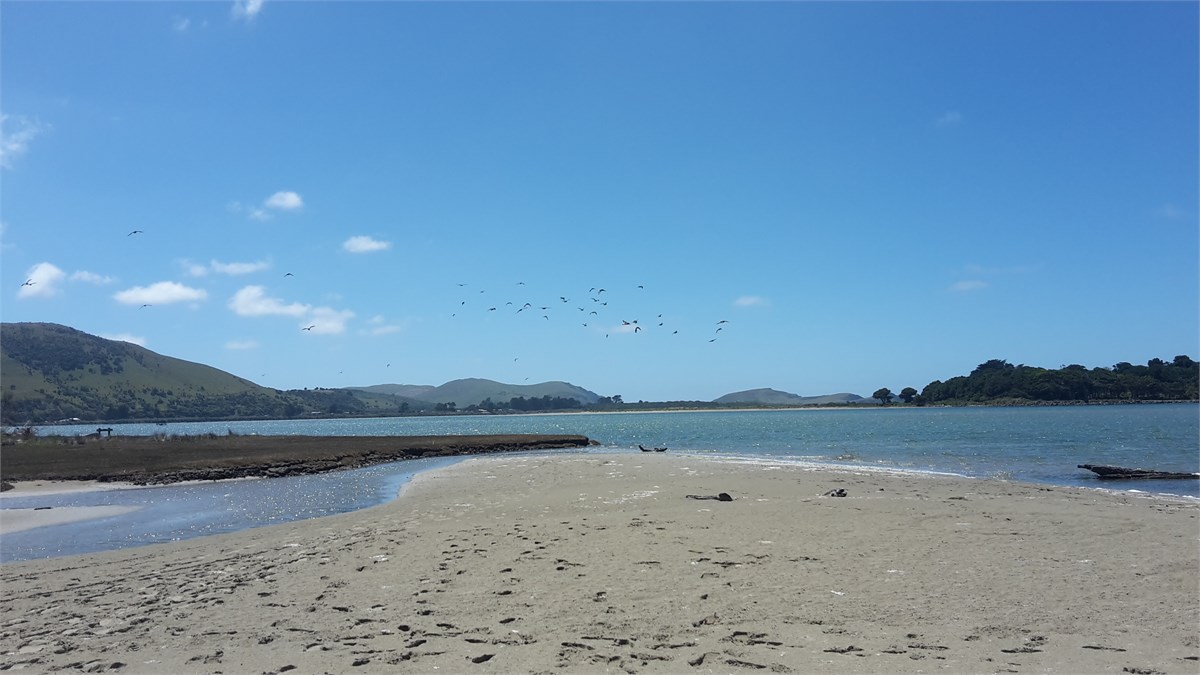 Pounawea Estuary