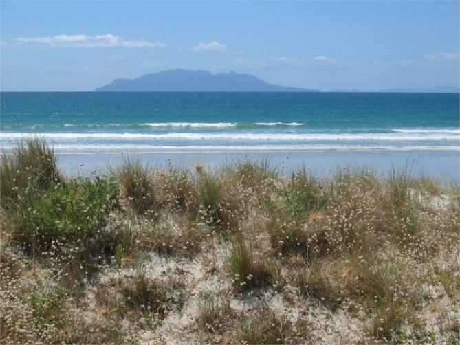 The beach and Little Barrier from the walkway