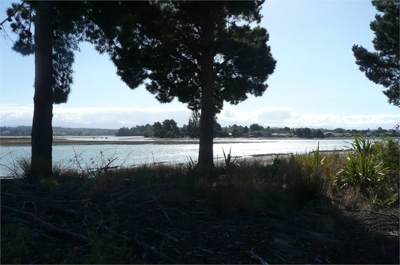 Explore Rabbit Island - on foot or by bike