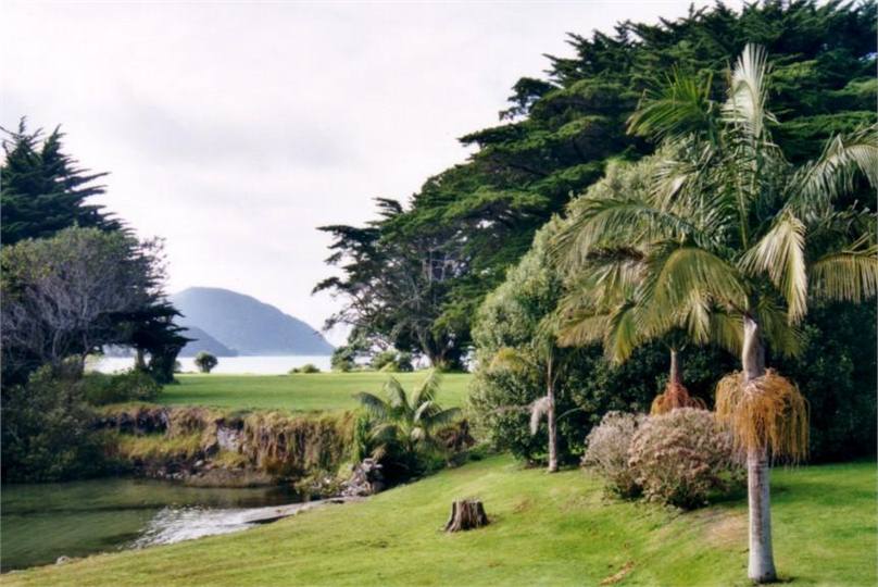 Mt Camel from the property