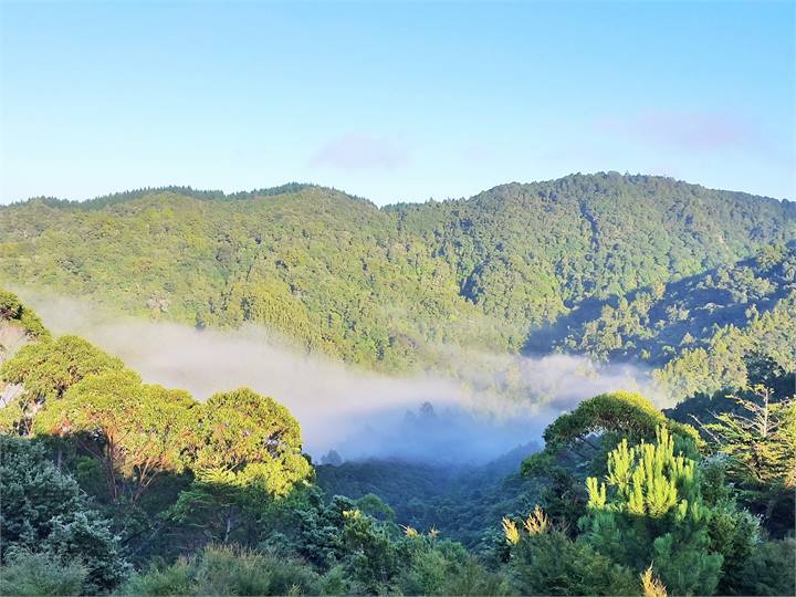 Early morning view over the valley