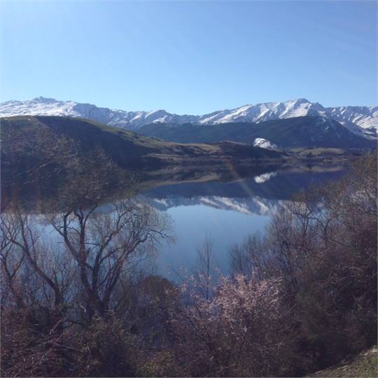 Walk around Lake Hayes