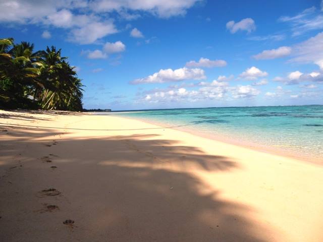 golden coral and tourist free sand