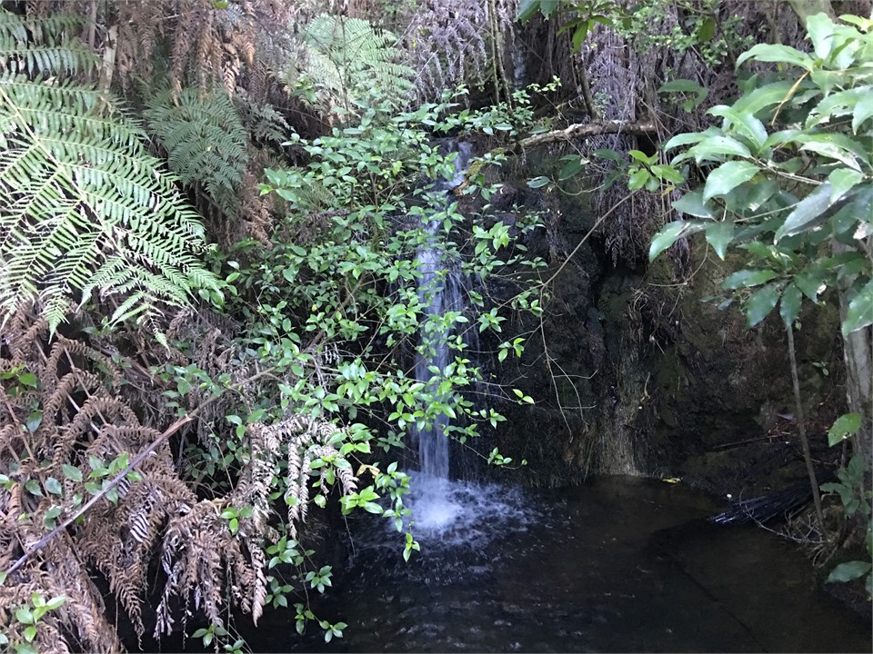 waterfall on walk around farm