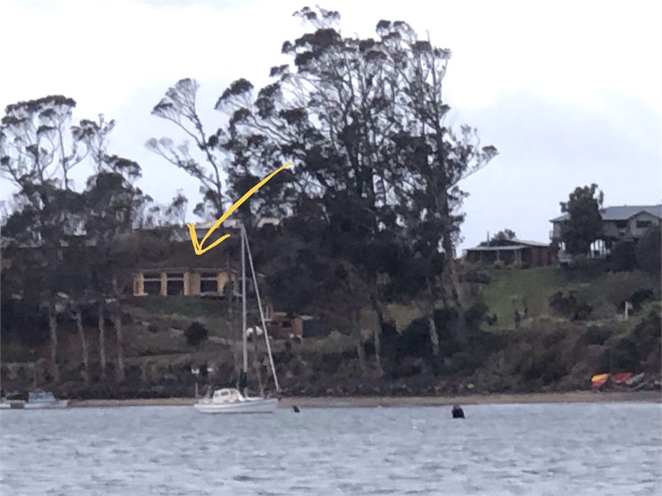 Peaking through the trees