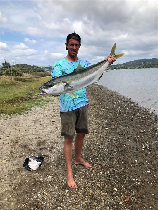 Directly out from the Bach!  Well done !!