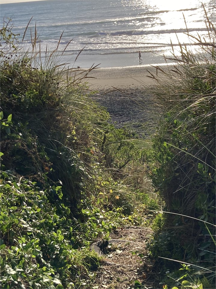 Back section, path to beach