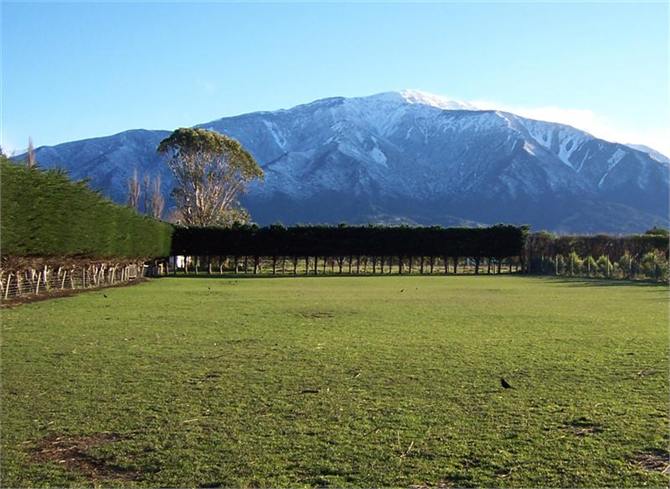 Mountain view from the Farm Park!