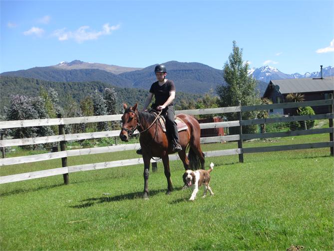 If you love horses Kepler Oaks is perfect