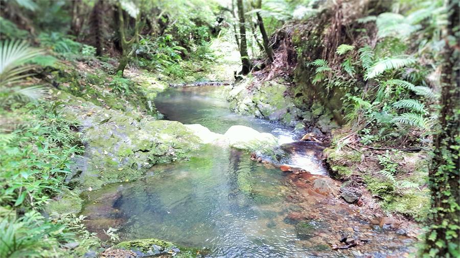 Rocky bottom stream on the property
