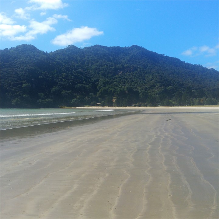 The beach looking south