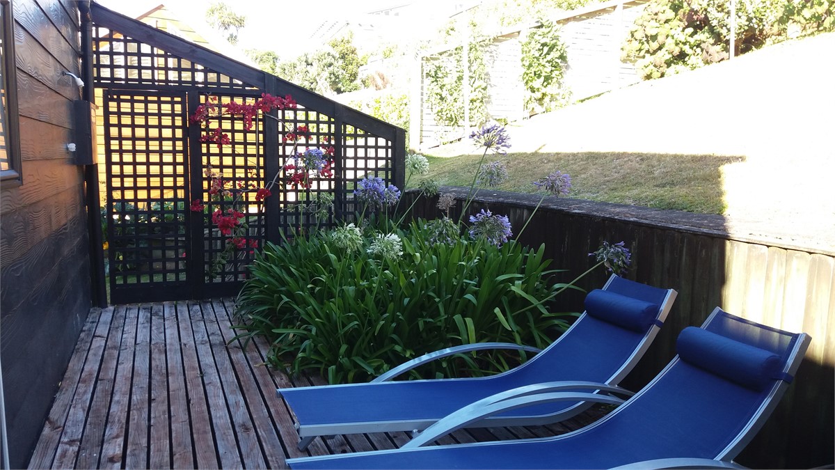 Back deck - afternoon sun