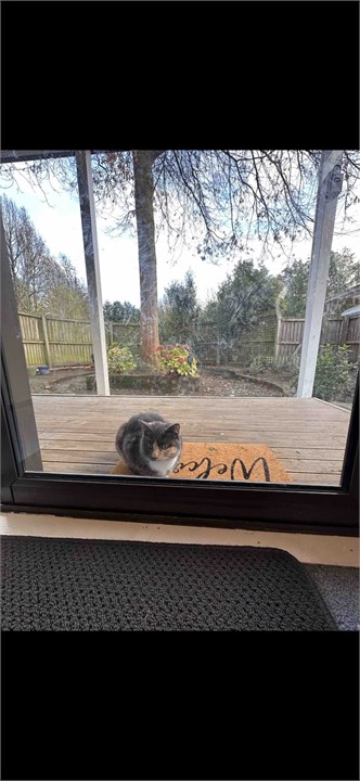 Evie , likes to pretend she’s homeless and hungry