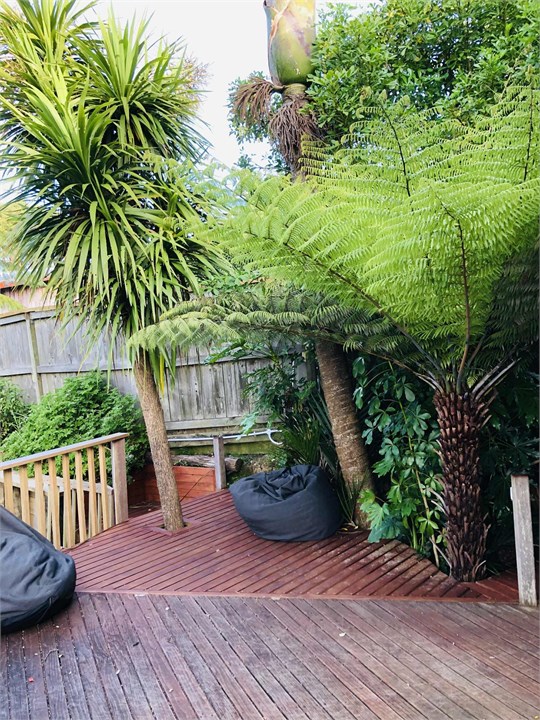 bean bags and native bush