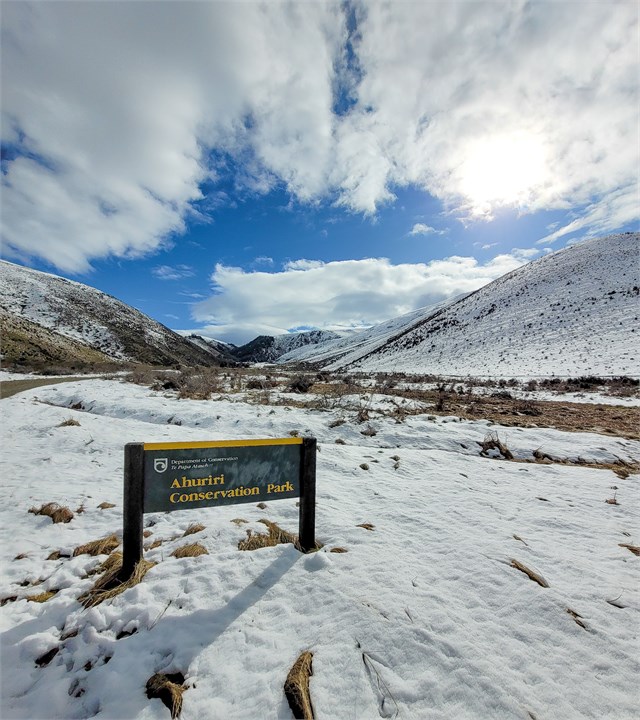 Next door is the Ahuriri Conservation Park - Plent