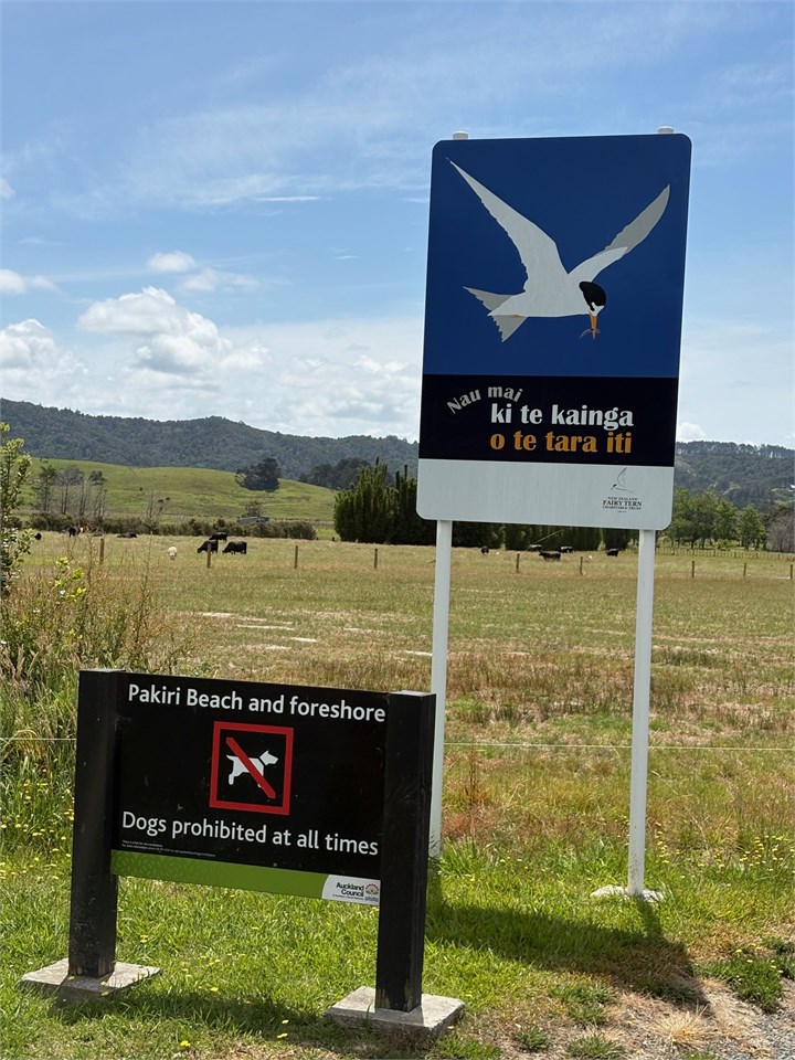 Pakiri River road to beach