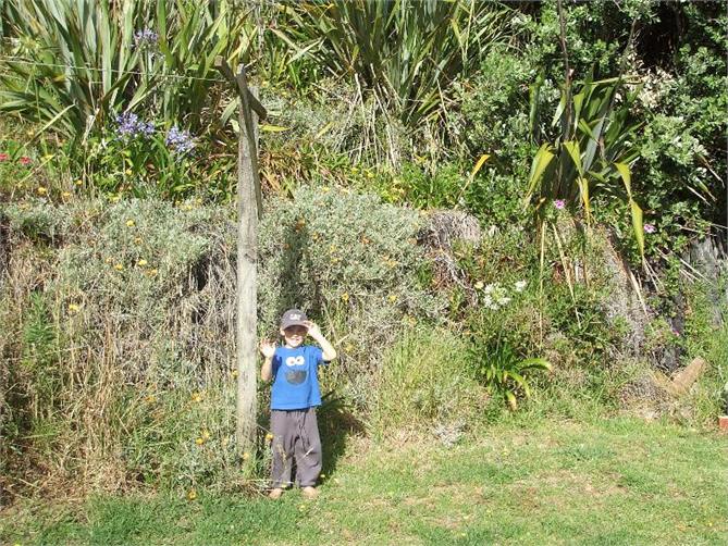 Drive up behind the house