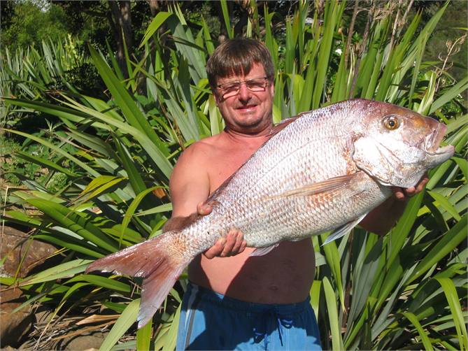 Abundance of big ones