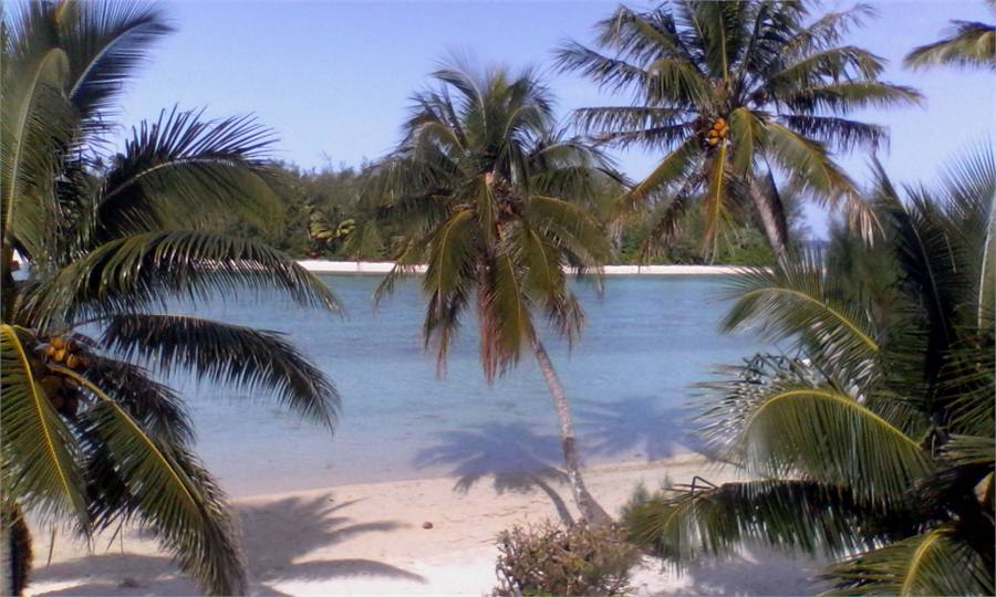 Great view of our lagoon from upstairs