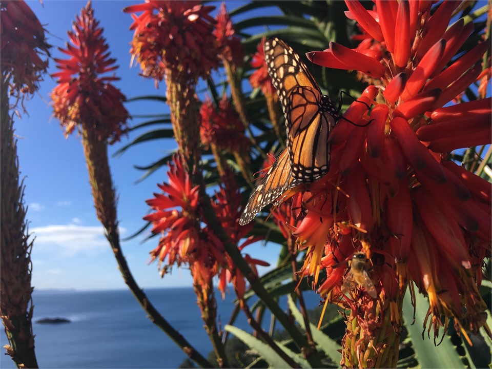 magical photos taken on walks around farm