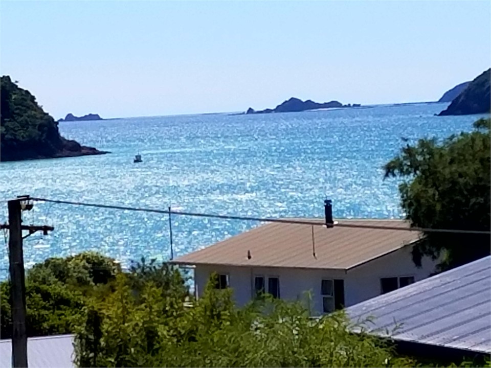 View from master b room