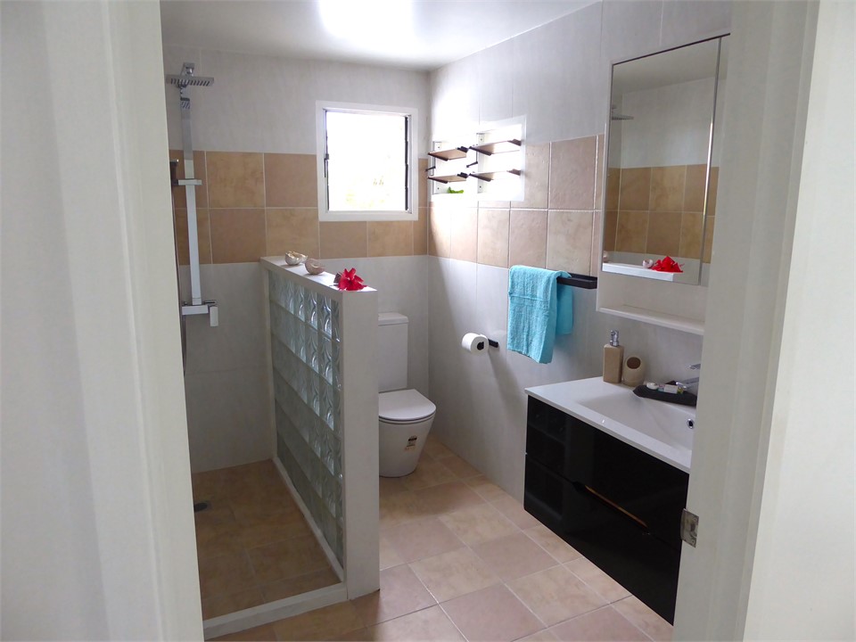 modern bathroom with wet shower, vanity