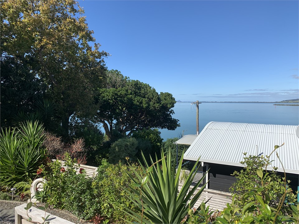 Sea, garden and bush