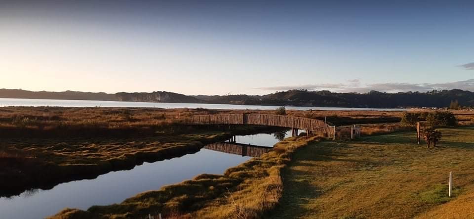 Mother Browns Creek/Taputapuatea - Peaceful Whitia