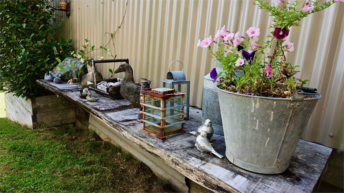 Always something to see no matter where you look