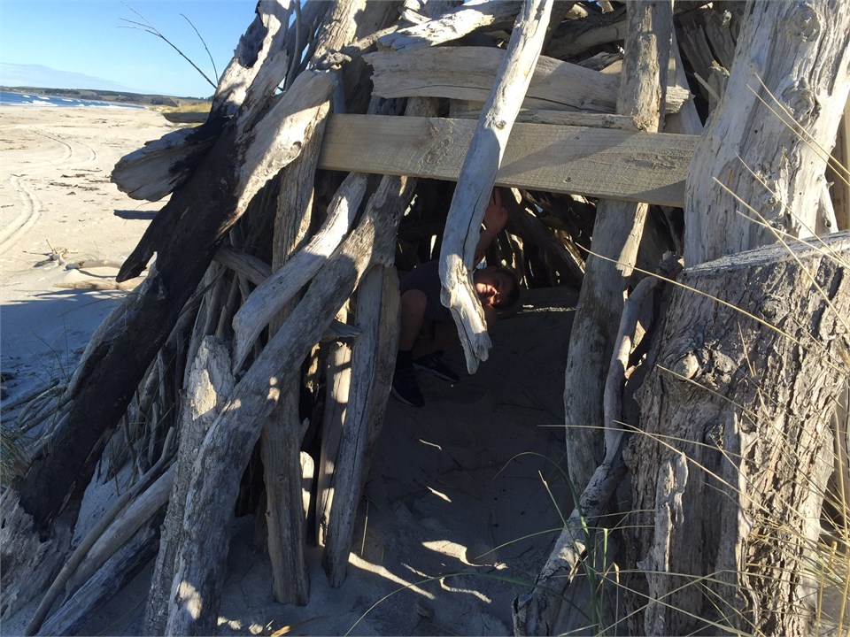 Toko Mouth Beach Driftwood Hut