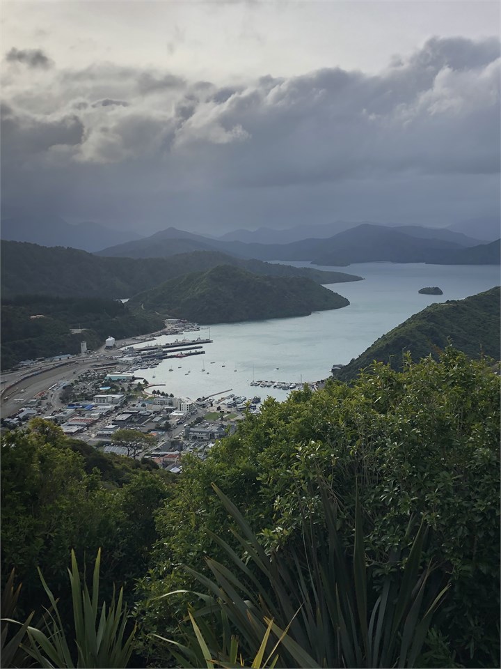 Picton Harbour