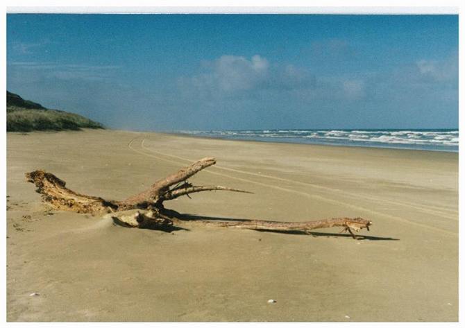 Walk along the dry sand...