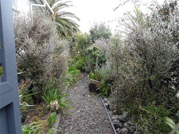 Pathway at side of the house