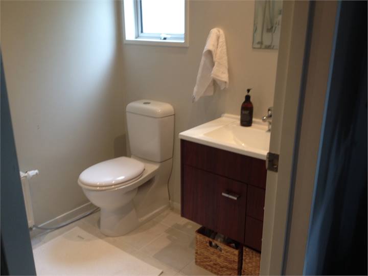 mastwer suite toilet