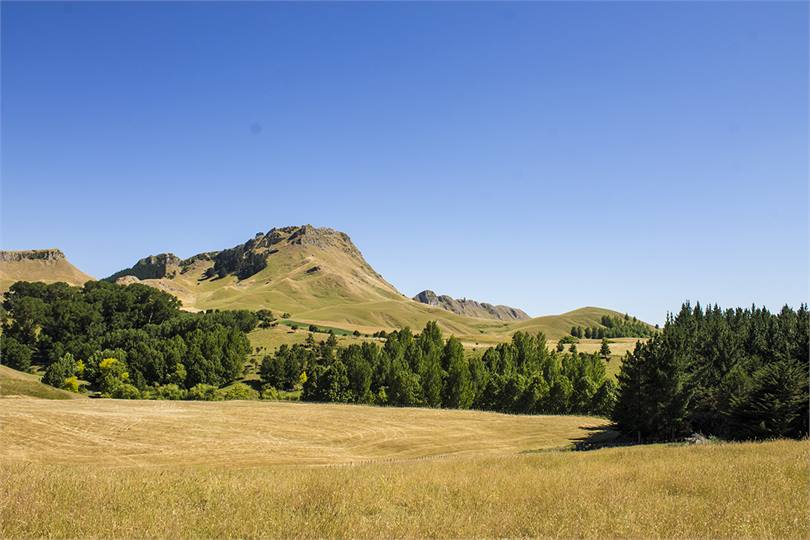 The view, 100 metres from your door.