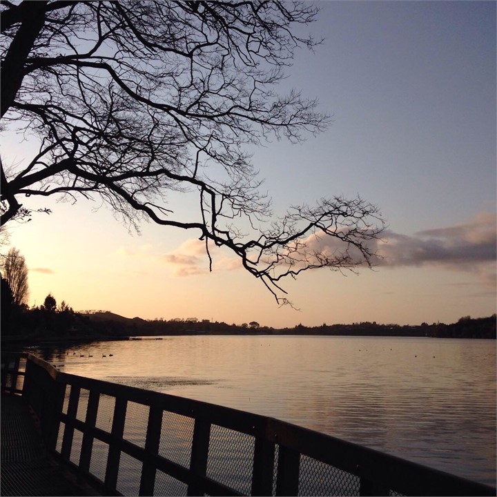 Te Awa Walk/ Cycleway Lake Karapiro