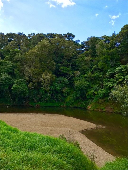 The nearby Waitangi River