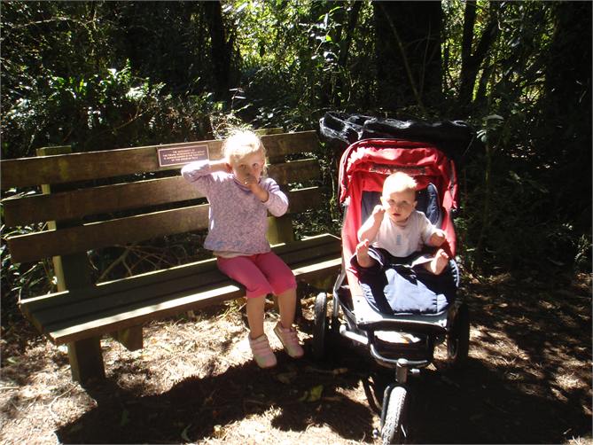 Family walks in Peel Forest