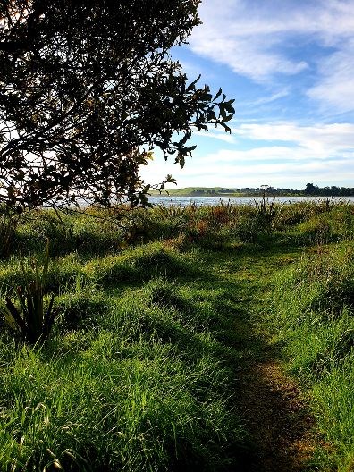 Peaceful walking tracks