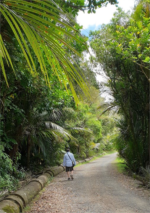 Exhibition Drive Pipeline walk