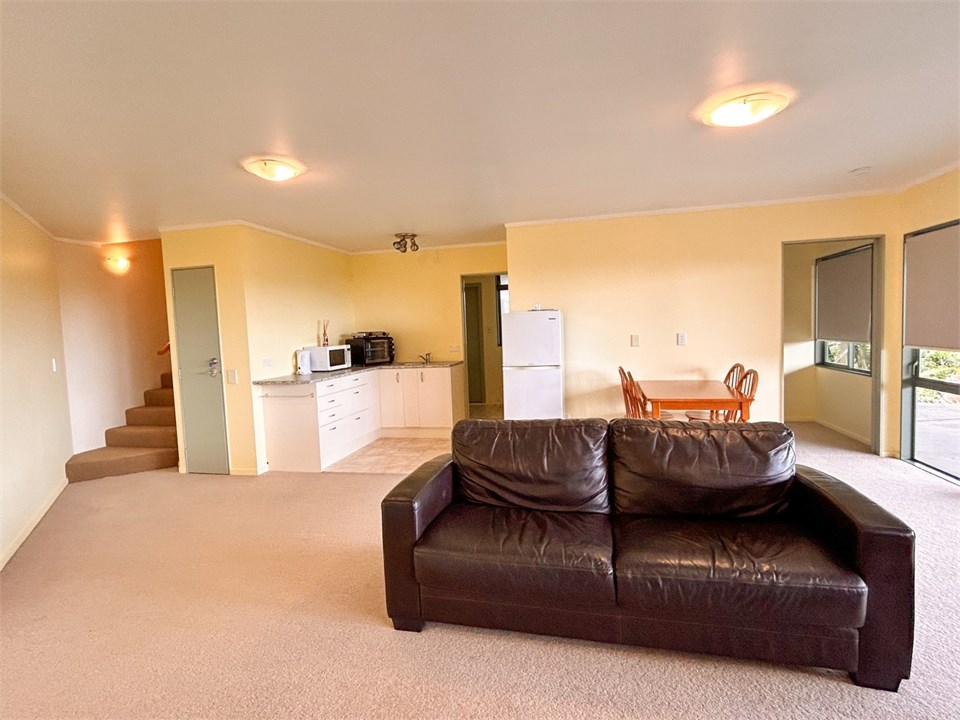 Kitchenette and full bathroom downstairs