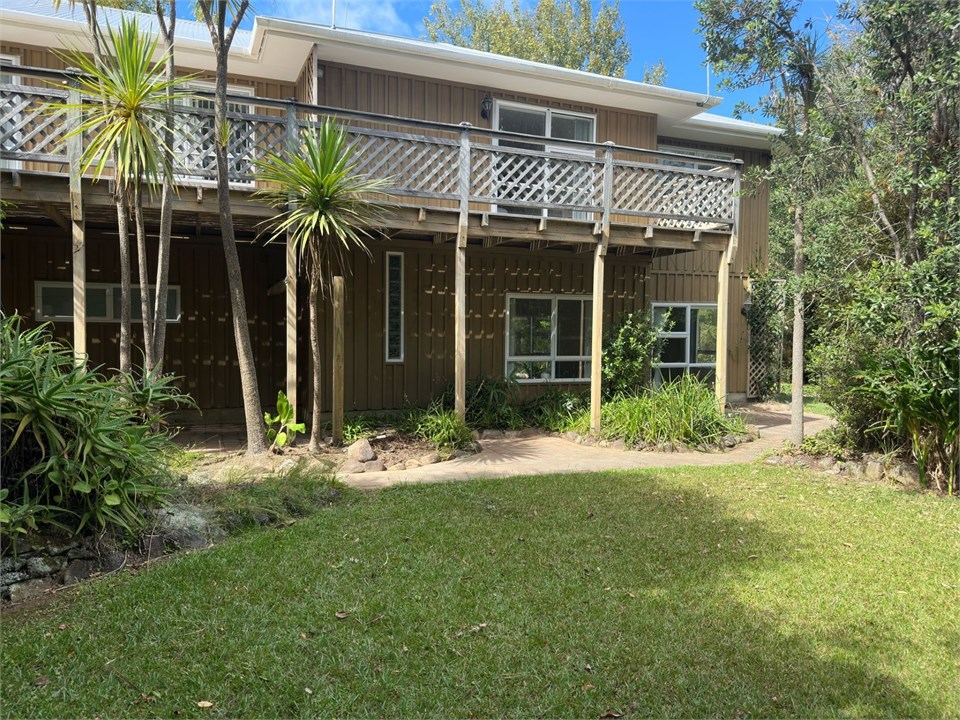 back of the house and yard