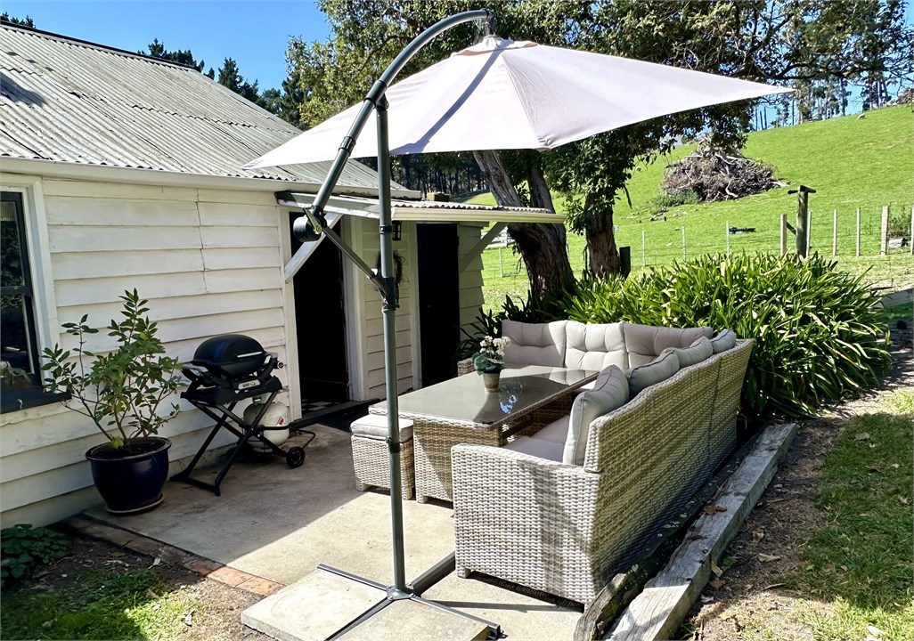 Backyard Patio with BBQ