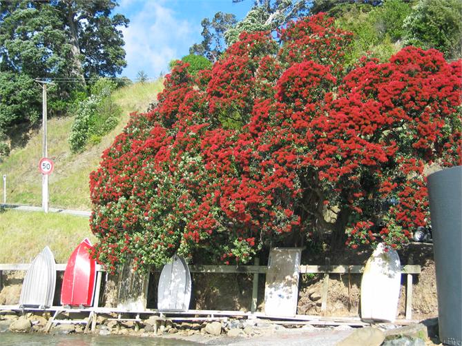 Down at Scotts Point