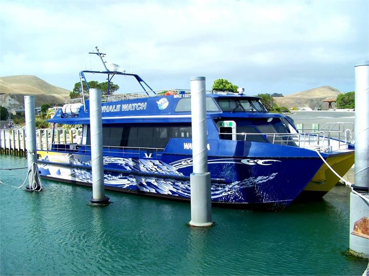 Whale Watch boat