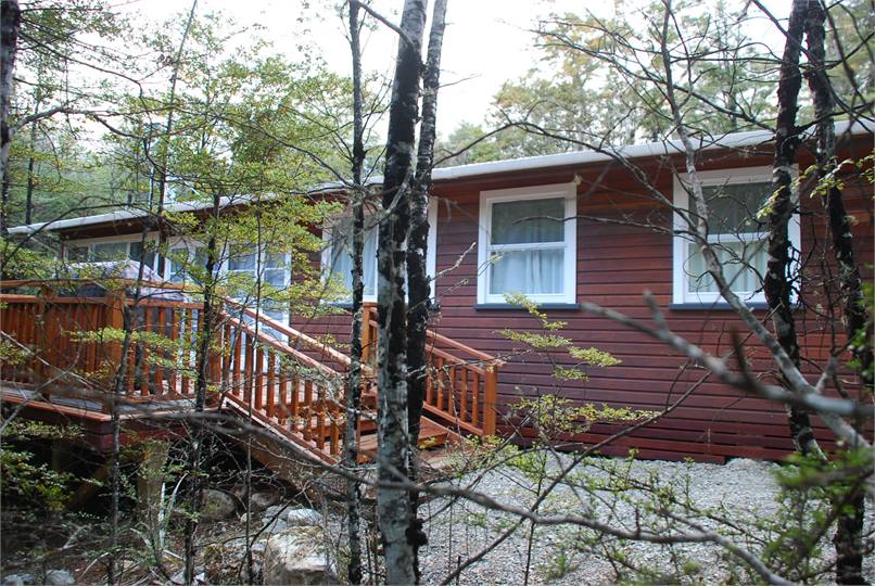 View through bush from drive