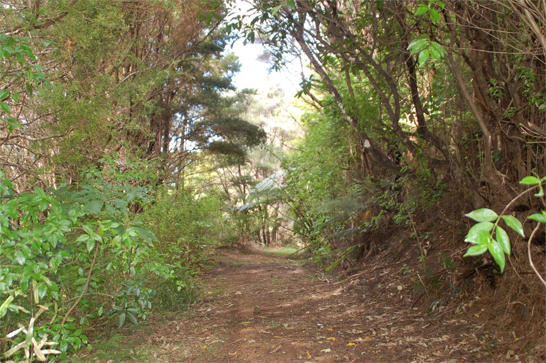 The short private Bush Walk