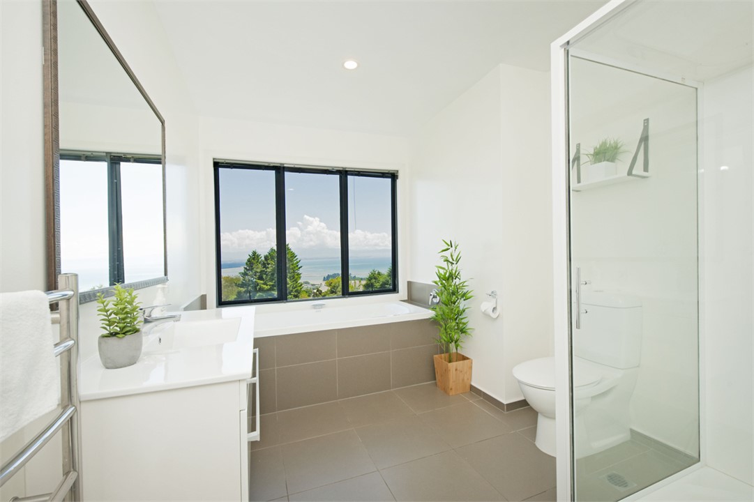 Main bathroom with Shower & Separate Window-side B